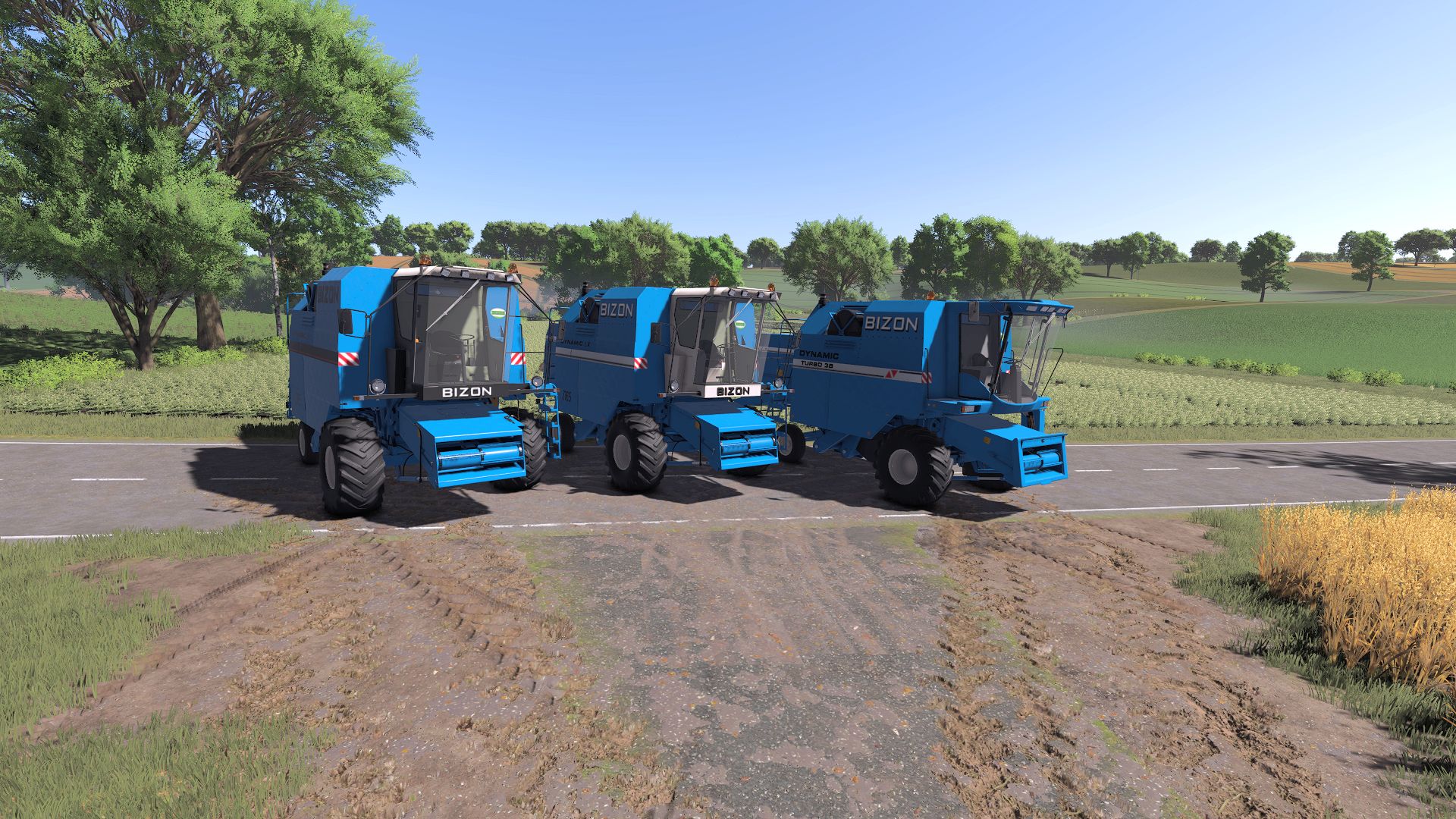 Bizon Dynamic